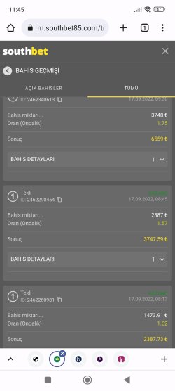 Screenshot_2022-09-17-11-45-46-454_com.android.chrome.jpg
