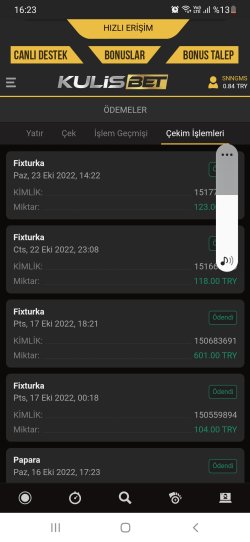 Screenshot_20221023-162325_Samsung Internet.jpg
