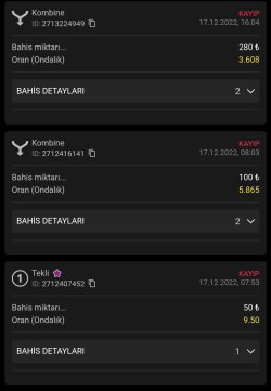 Screenshot_2022-12-17-20-25-53-649-edit_com.android.chrome.jpg