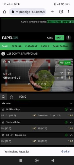 Screenshot_2023-06-29-11-41-55-119_com.android.chrome.jpg