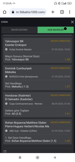Screenshot_2023-09-07-17-23-33-213_com.android.chrome.jpg