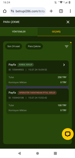 Screenshot_20240715-162411.png