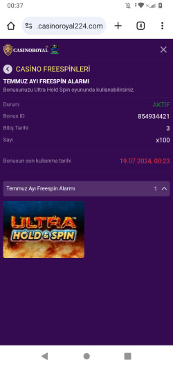 Screenshot_20240716-003724.png