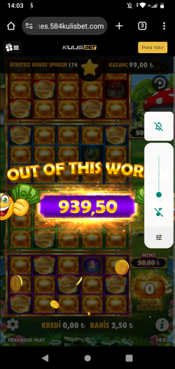 Screenshot_20241116-140329.png