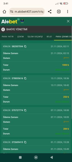Screenshot_2024-11-21-03-41-37-648_com.android.chrome.jpg