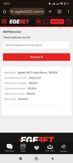 Screenshot_2024-11-21-12-11-54-897_com.android.chrome.jpg