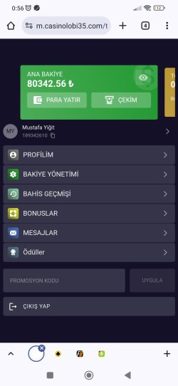 Screenshot_2024-12-04-00-56-18-505_com.android.chrome.jpg