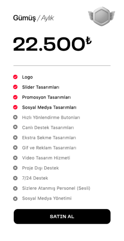 Graphic - Gümüş.png