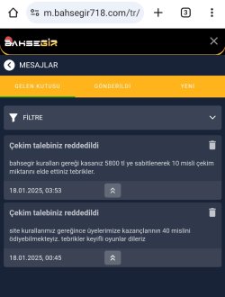 Screenshot_20250118-071440_Chrome.jpg