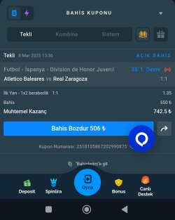 Screenshot_2025-03-08-13-36-53-996_com.android.chrome-edit.jpg