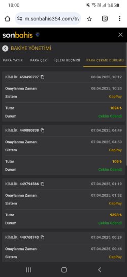 Screenshot_20250408-180052_Chrome.jpg