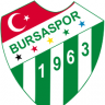 alibayrak11