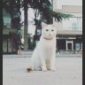 catwalk