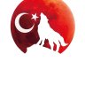 mehmettican33