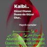 celalgönül17