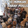 hurkants