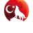 mehmettican33