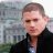 Micheal Scofield